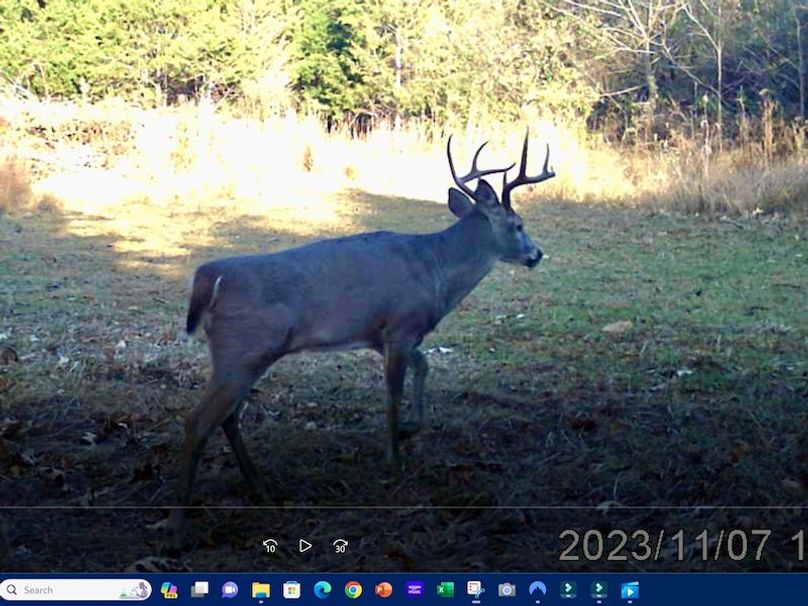 Screenshot 2024-03-02 135232