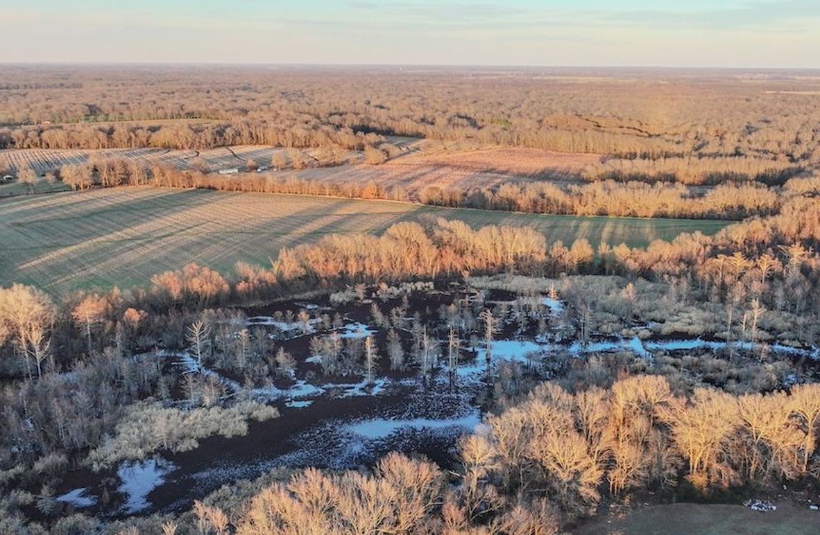 St. Francis 138.5 Calvin Parker Farms Profile -03