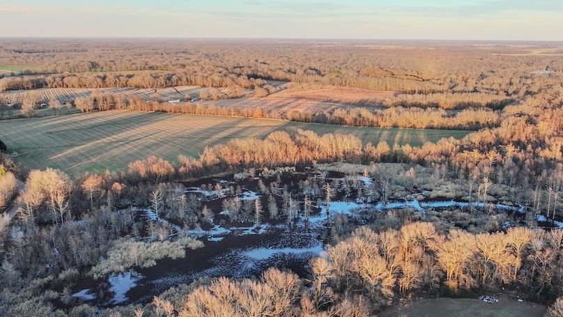 St. Francis 138.5 Calvin Parker Farms Profile -03