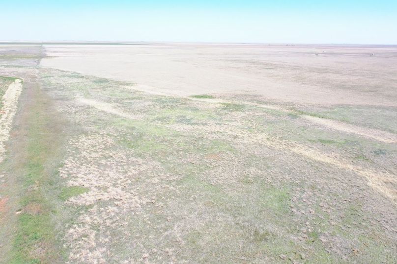 DJI_0670