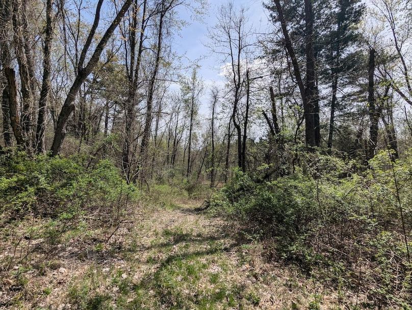 PXL_20250422_165516683