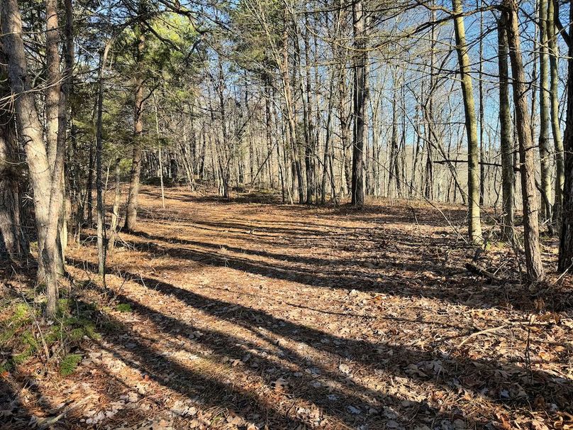 045 awesome flat on the ridgetop