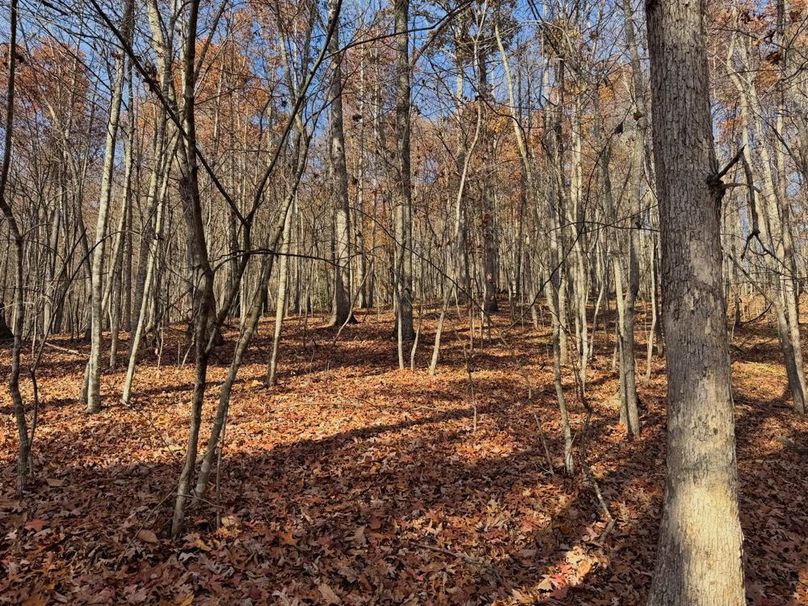 024 nice buildable flat towards the top-2