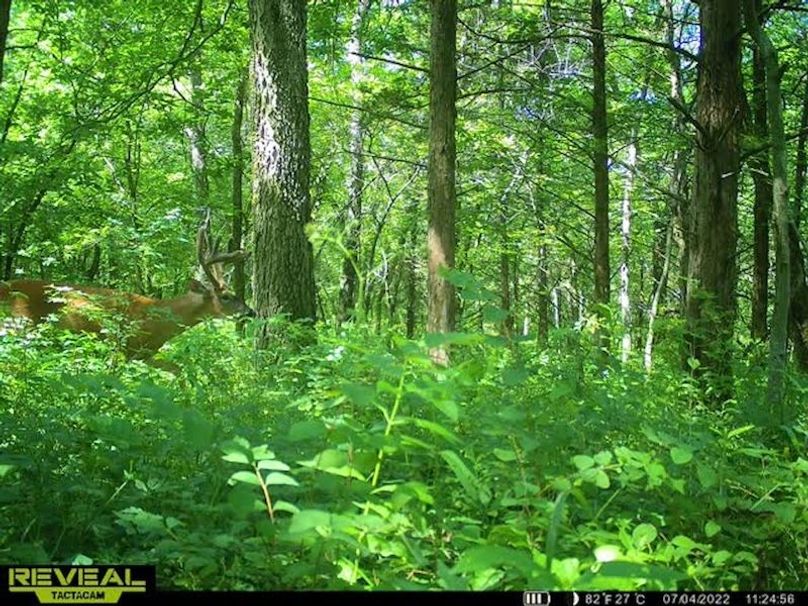 df0abf30-3c98-4fc2-a4e4-ce667a7e2cbb