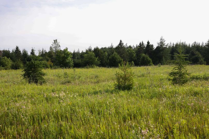 Mackinac20Fewins-6029