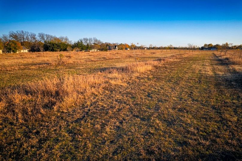 Collin 17 acres (9 of 21)