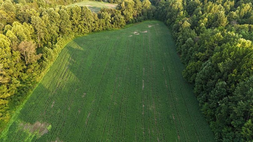 DJI_20250730190133_0083_D