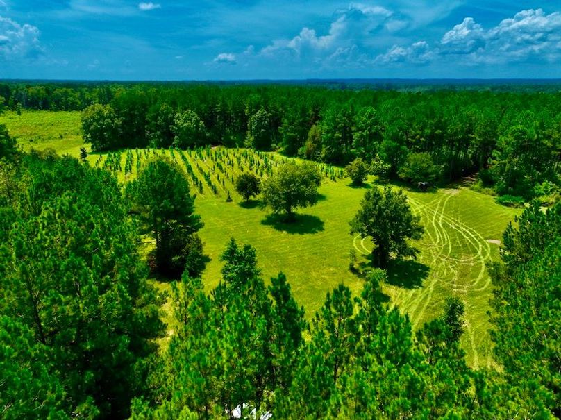 C70DC32A-2459-41A6-8641-74D41FCB9B98_1_105_c