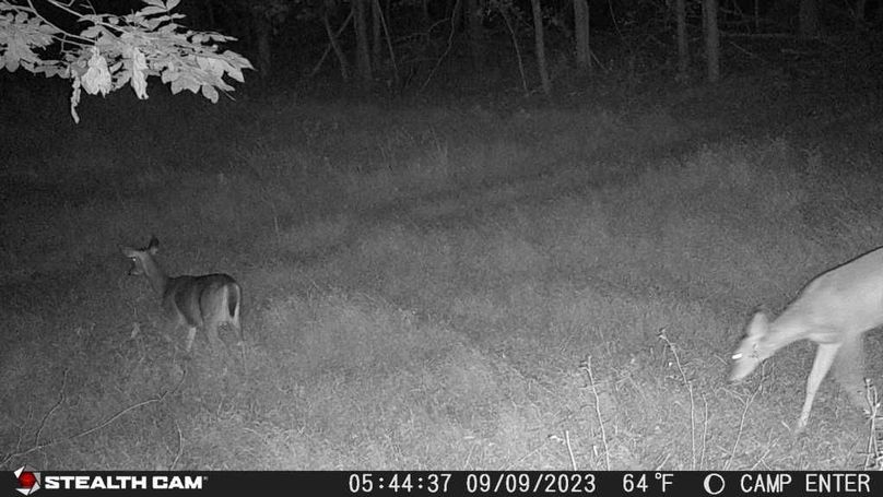 23090905443601000249