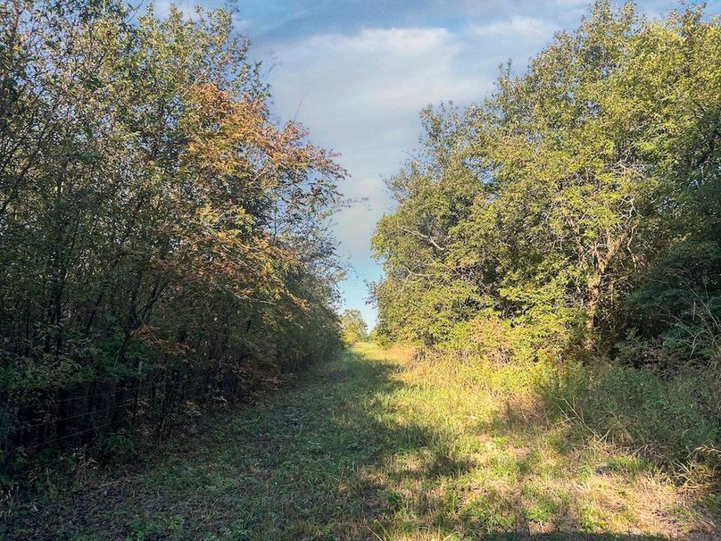 Lamar County- 93 acre reshoot (35 of 38)