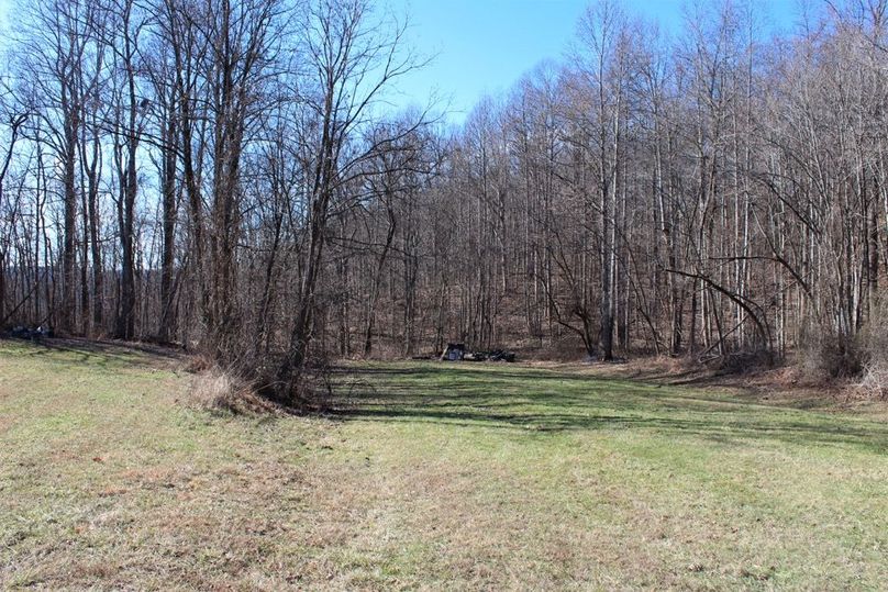 007 the open field area where the old homestead use to sit