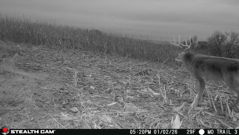 2026010217201101003236_ColorizationType.none