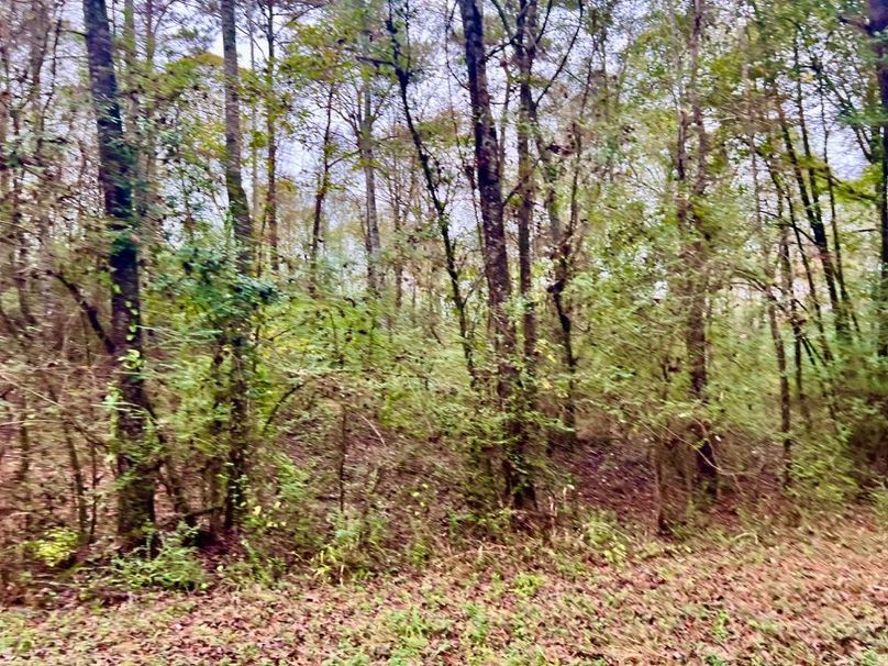 2464EF30-F4C8-4312-9977-1110281AEAE7_1_201_a