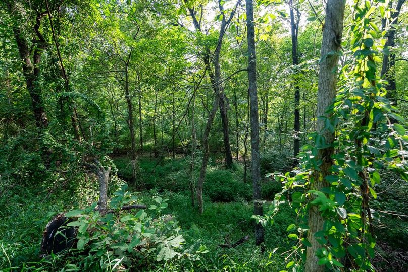 Copy of DSC06224 Large