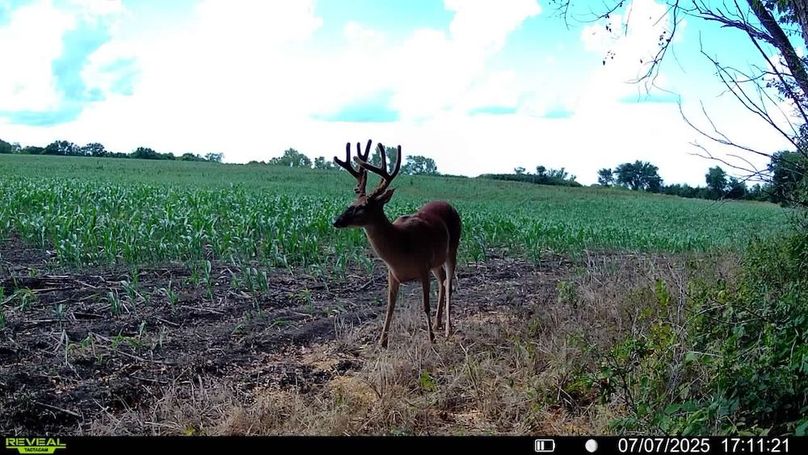 016578000659844-42-3-07072025171121-SYFW01770