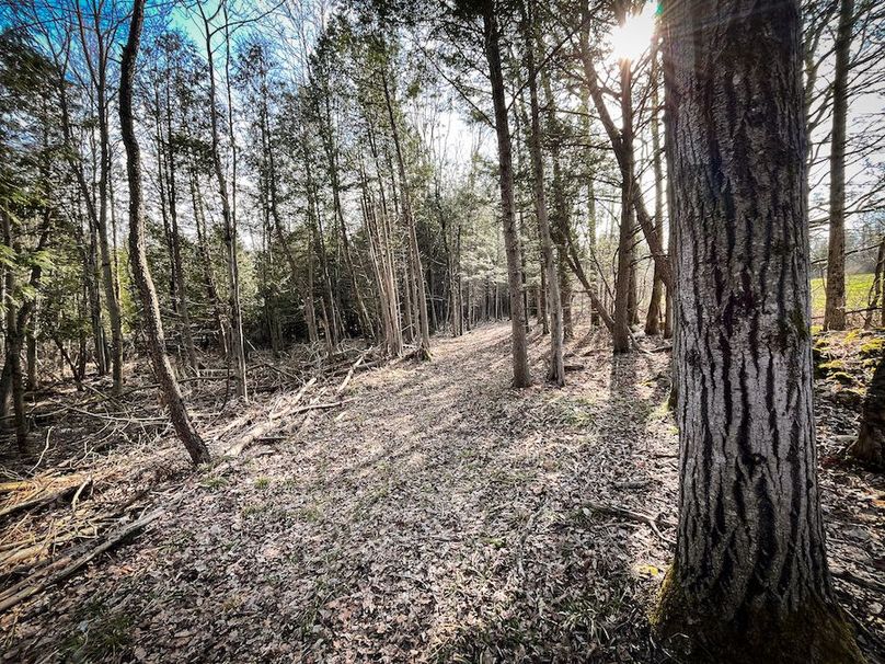 StLawrence_142.7_Bosse_Photos_31