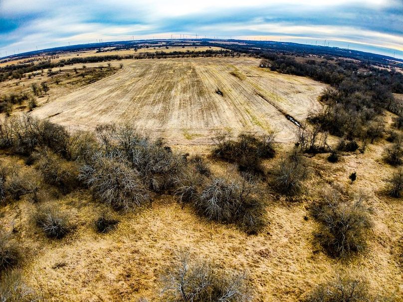 DJI_20260119091454_0668_D