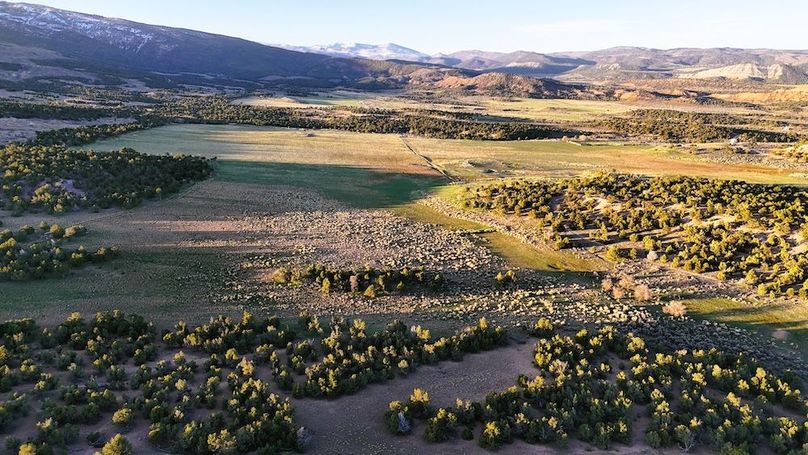 DJI_20250411073031_0055_D
