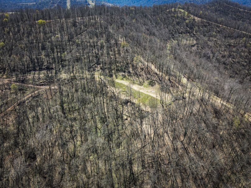 dji_fly_20230410_131606_624_1681146976665_photo 2