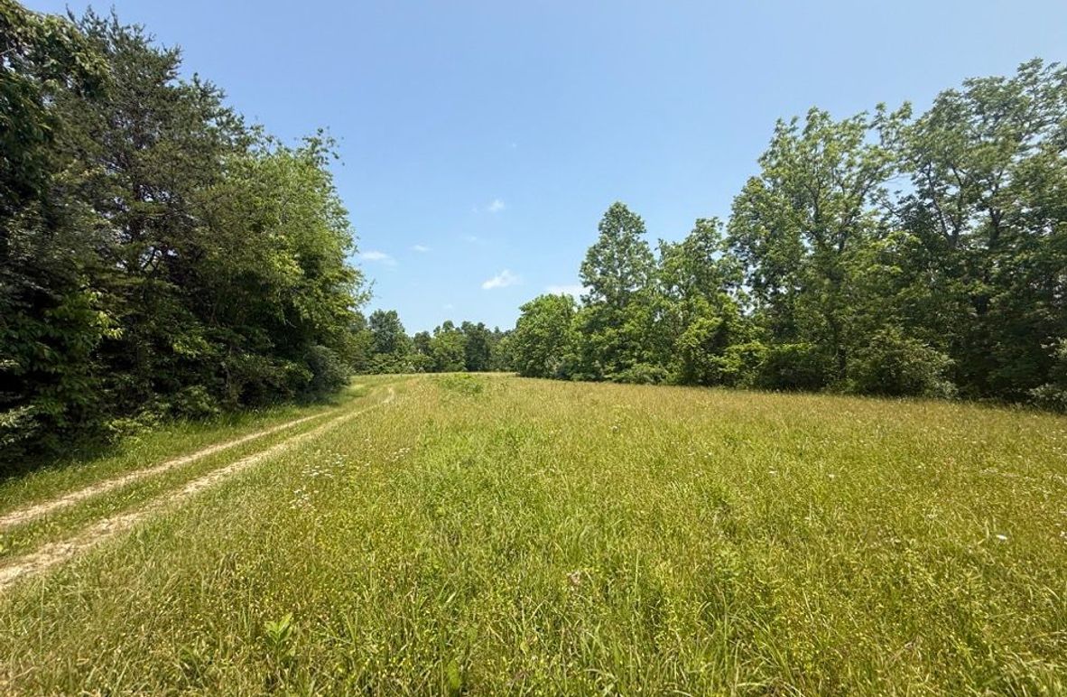 005 the open fields at the top of the hill as you move northward-2
