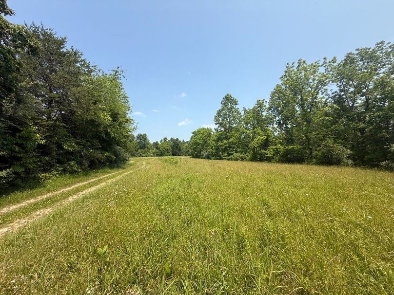 005 the open fields at the top of the hill as you move northward-2