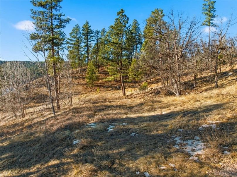 05-TBD Wildberger Court-12