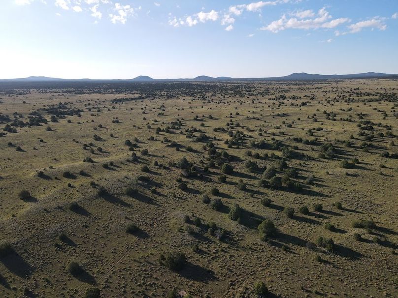 dji_fly_20240816_074916_510_1723816204295_photo