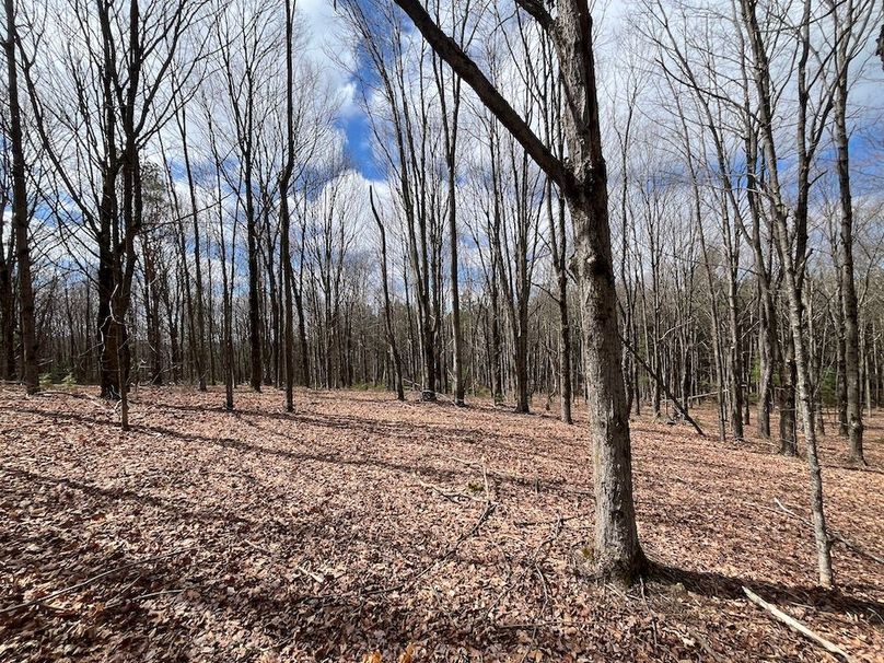Chemung_116.3_Stamm Photo 55
