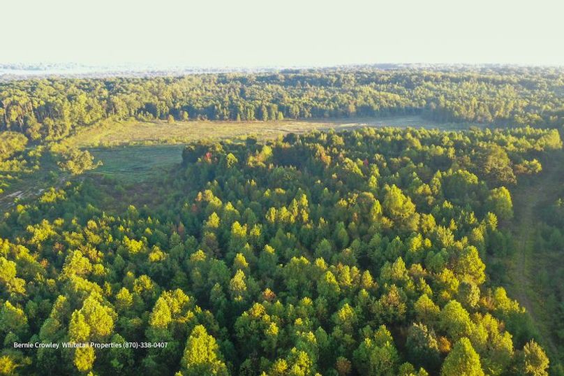 DeSoto 329 Prewett (Thompson) -15