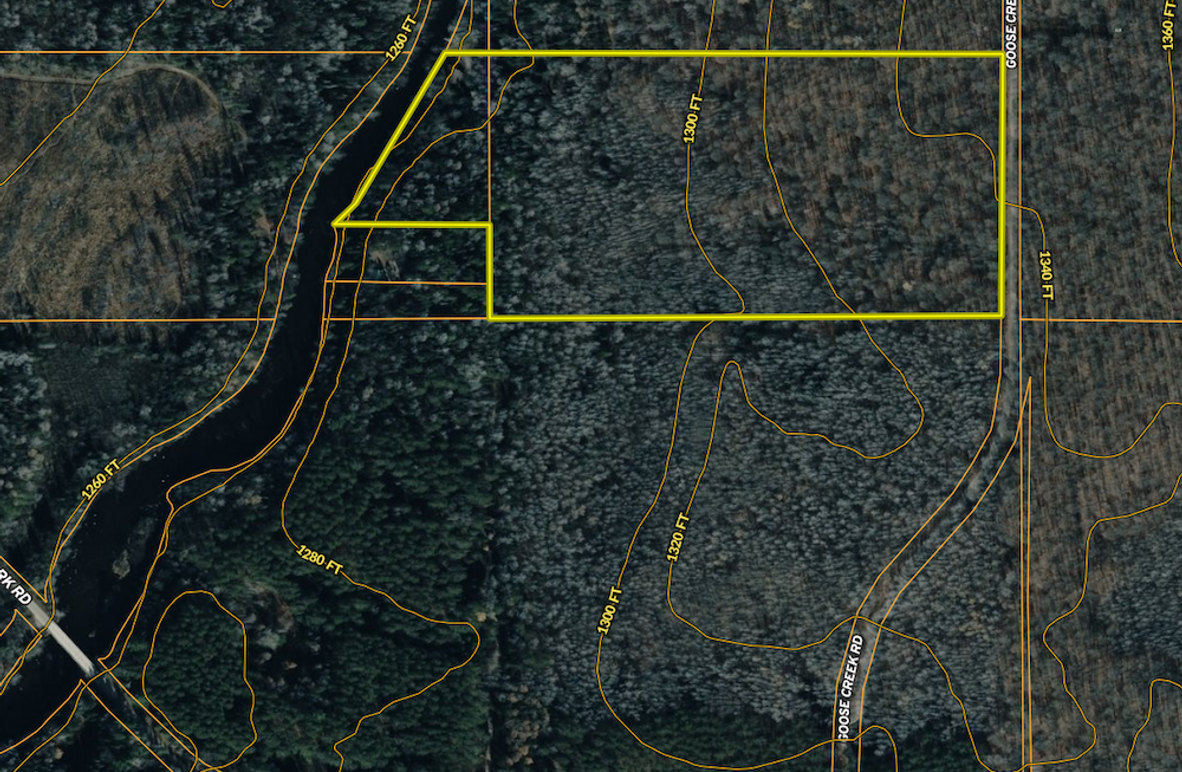 Forest23.92Krull closeaerial