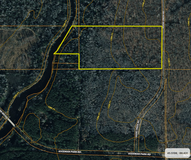 Forest23.92Krull closeaerial