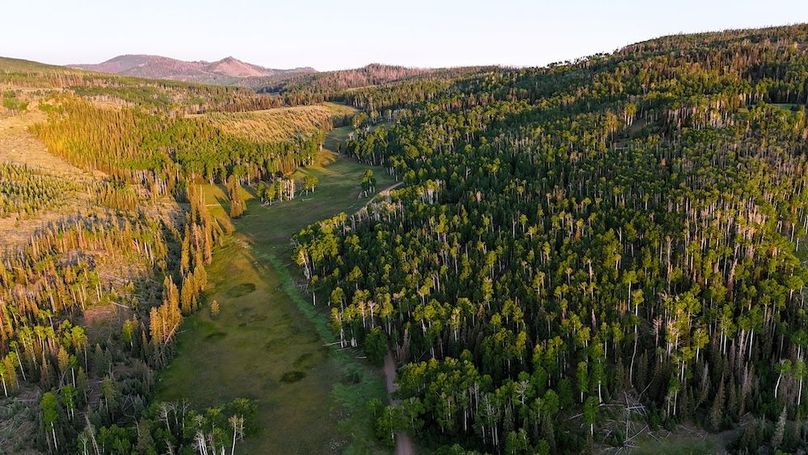DJI_20250628063532_0135_D