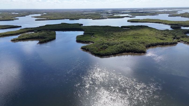 17.17ac, Citrus, Josiah Ronco21