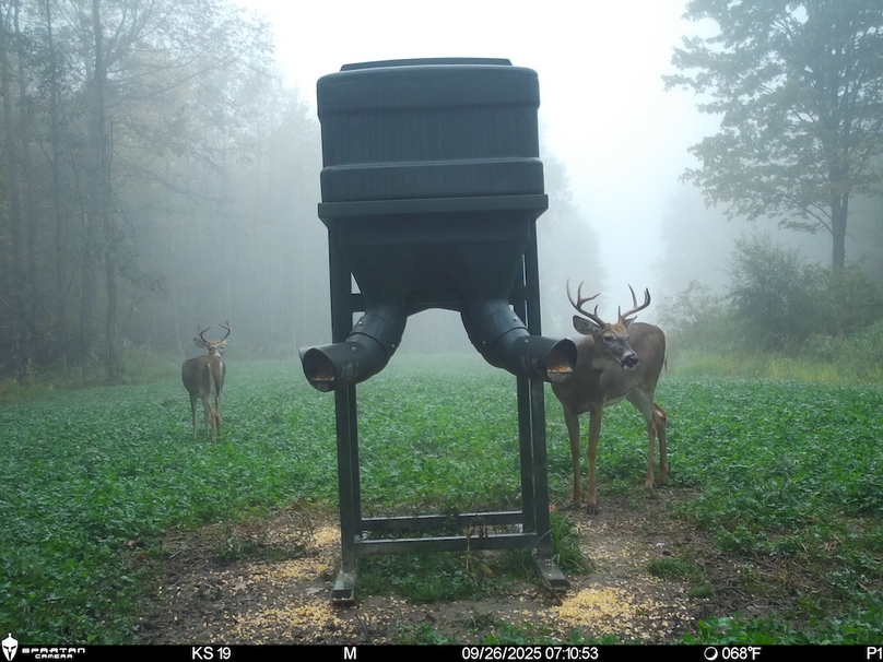 File Sep 26 2025, 6 52 12 PM