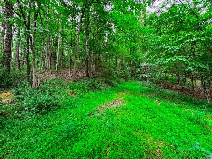 Doddridge, WV 15.68 AC Bonnett-70