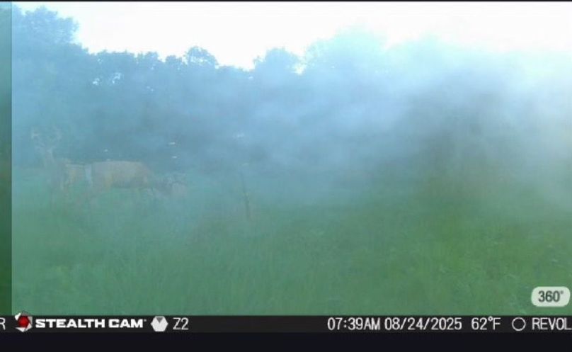 New Deer Trailcams (6)