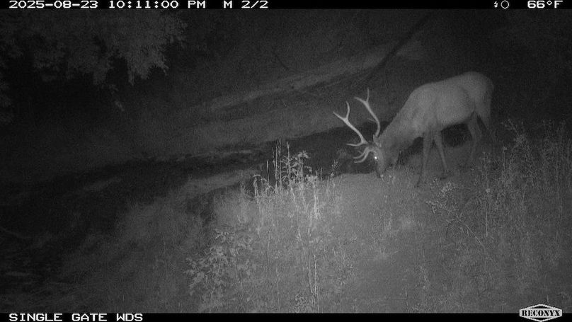 D64E86BD-B986-4CE1-A769-8235B41A4534