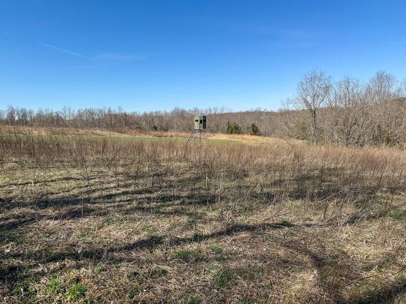 Fleming Petry 115-49