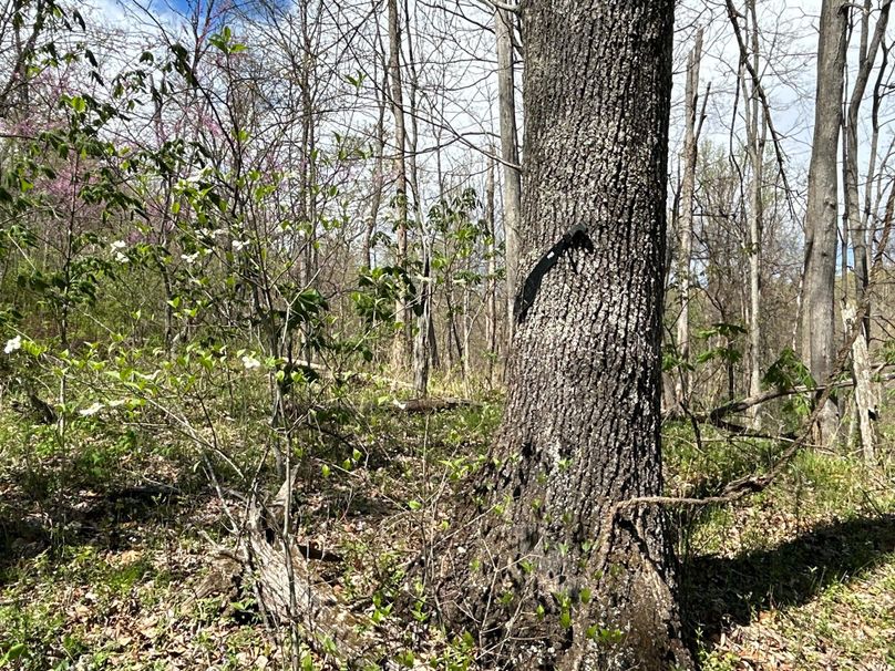 image1 (2)