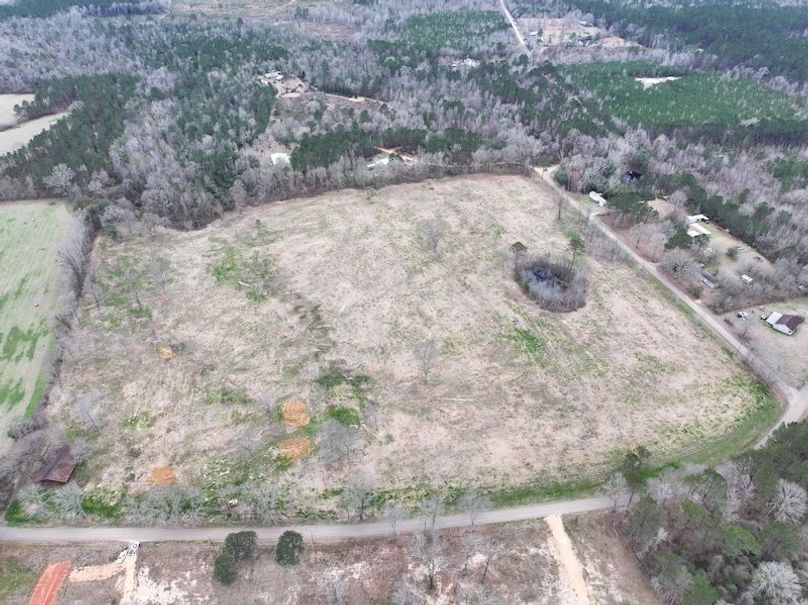 Copy of dji_fly_20260217_143030_0138_1771436909422_photo