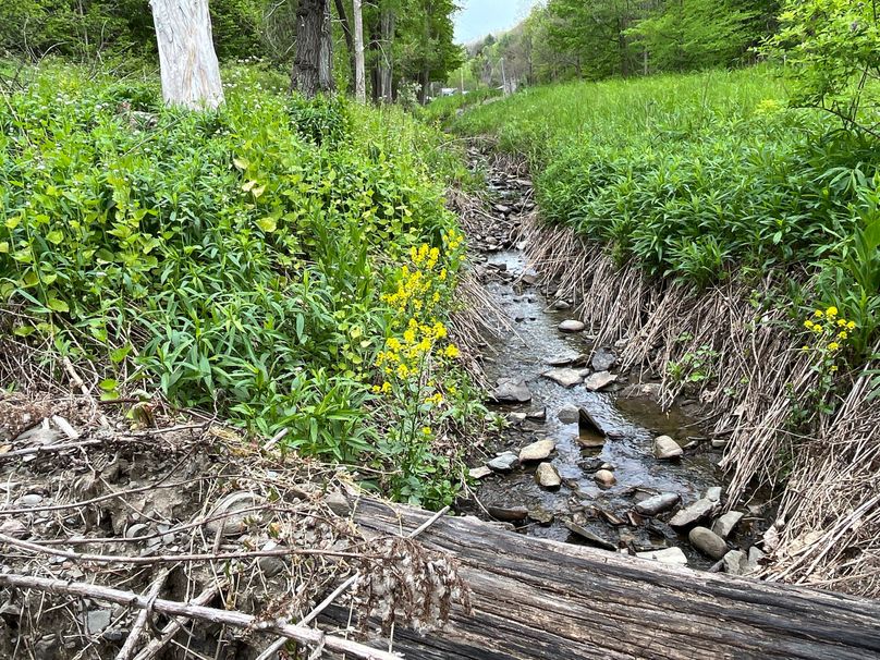 Tioga_18.72_Coulson Photo 36