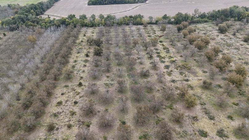 dji_fly_20251107_043012_0027_1762484049611_photo