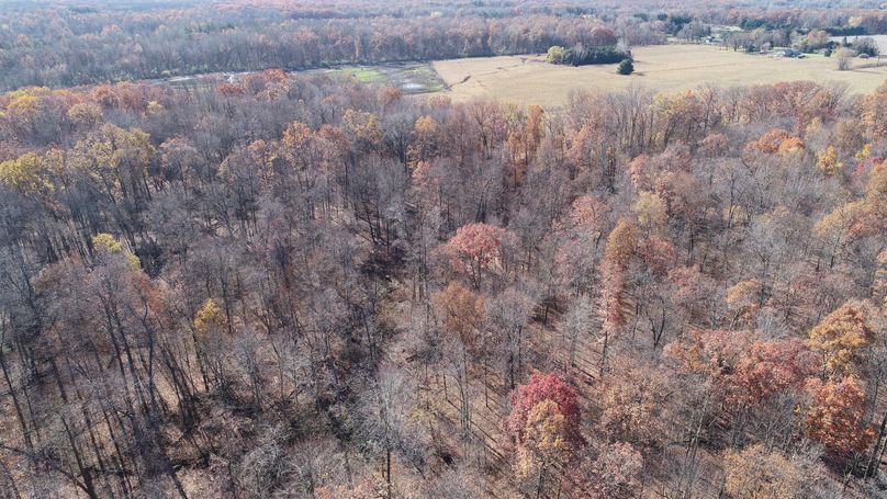 DJI_0017