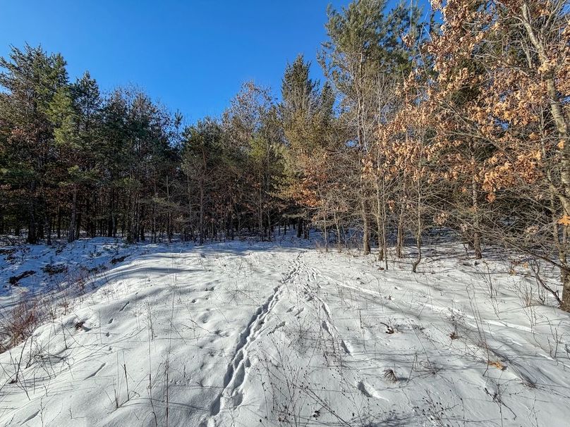 Monroe 68.2 - 86 of 120