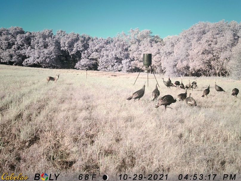 IMAG0153