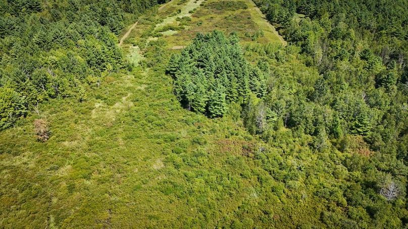 Jefferson NY 195.6 Parker Photos 41