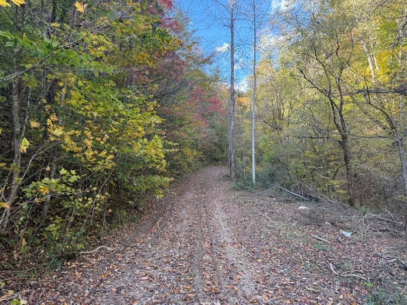 025 the trail system leading north from behind the barn