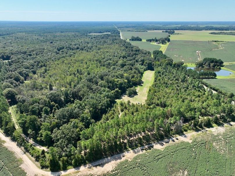 dji_fly_20250903_114318_118_1756914523641_photo