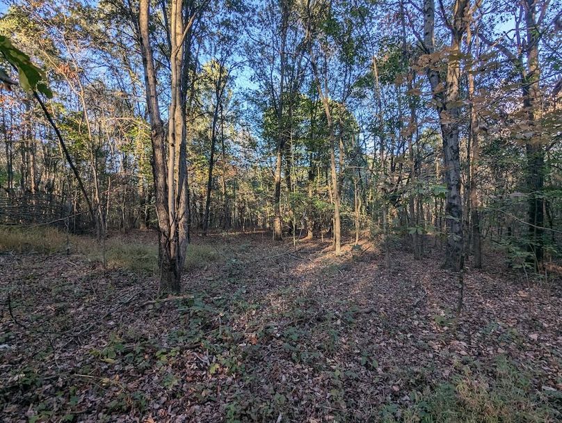 PXL_20251001_215111606