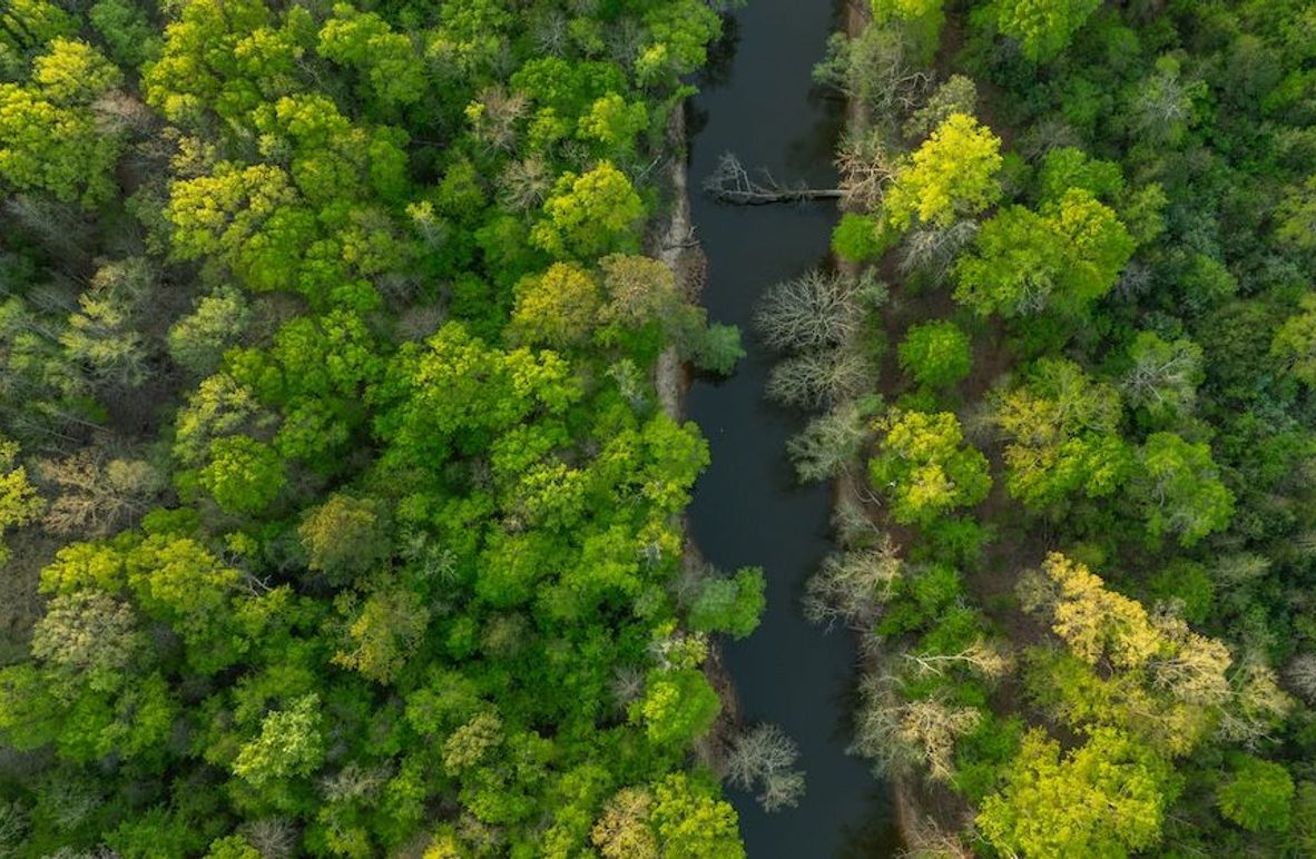 1 Copy of 60 Marion TX 143 and 117 Featured_ProPhoto-119